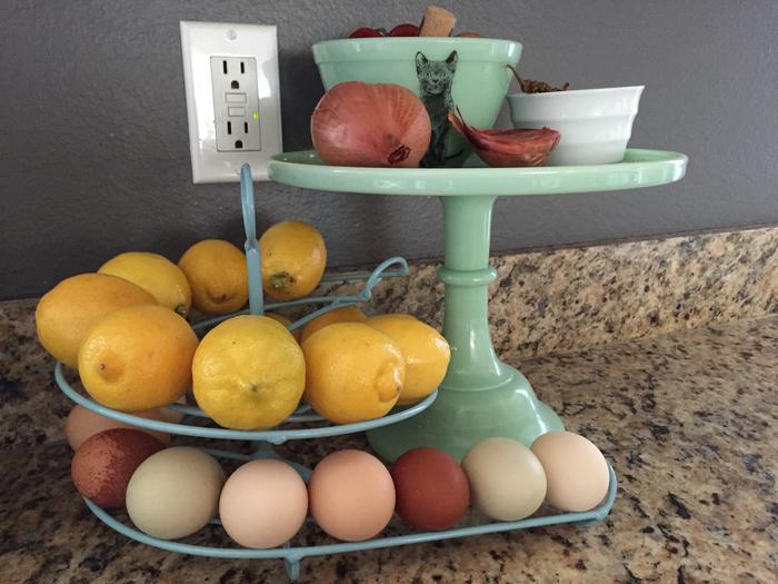 Egg Skelter