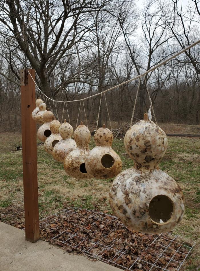bird house from gourds
