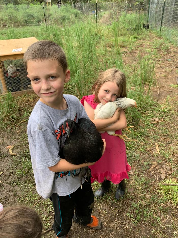 children-hold-chickens