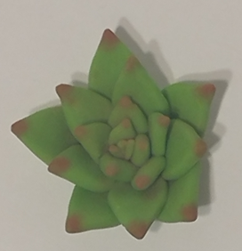 [Thumbnail for valentine-succulent-green.png]