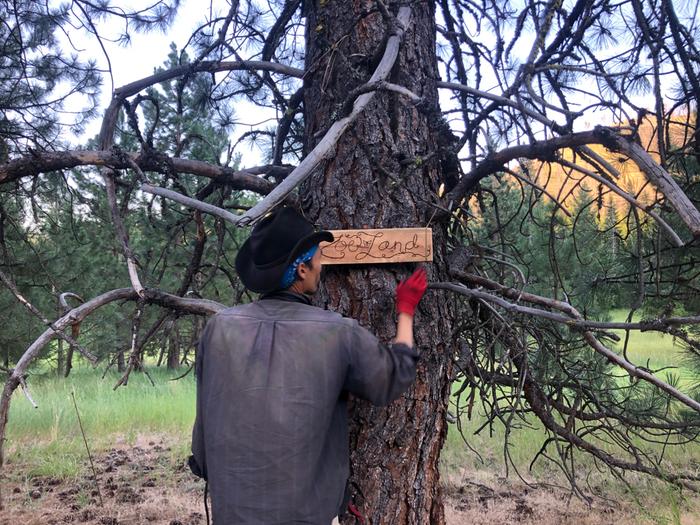 hanging a wood-burned sign on a tree