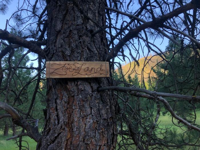 wood-burned sign hanging on a tree