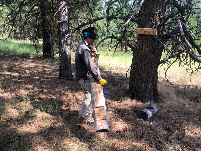 setting up a three-log bench