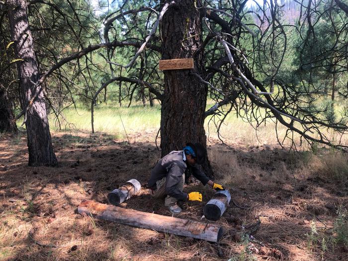 adjusting logs of three-log bench