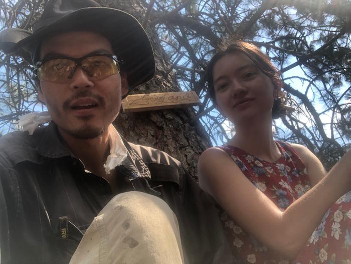 sitting on three-log bench under a tree