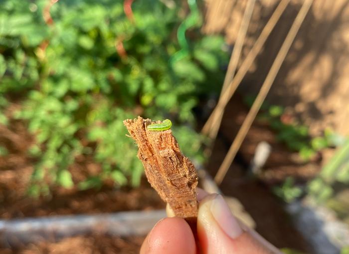 [Thumbnail for 6F1C1CFF-B311-4960-BD1A-A559AD5C4B1B.jpeg]