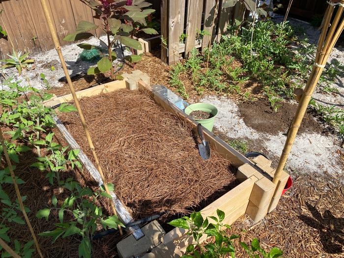 empty pepper plot (I LOVE peppers) southern/cajun/caribbean food is all I eat.