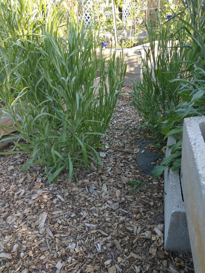 [Thumbnail for IMG_20220503_190455941.jpg]