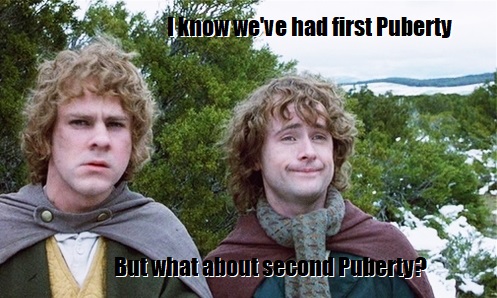[Thumbnail for merry-and-pip.jpg]