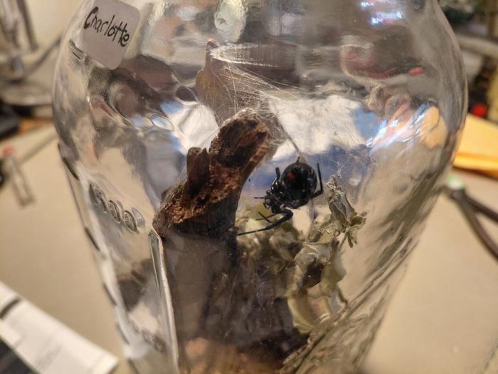 [Thumbnail for Charlotte.jpg]