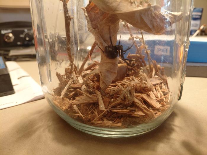 [Thumbnail for Katya.jpg]