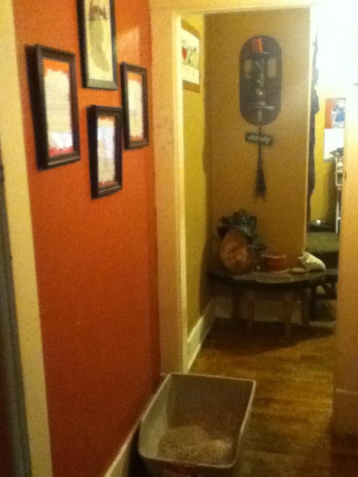 [Thumbnail for hallway.JPG]