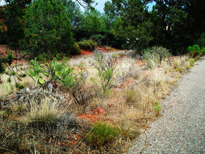 Property next to mine. 