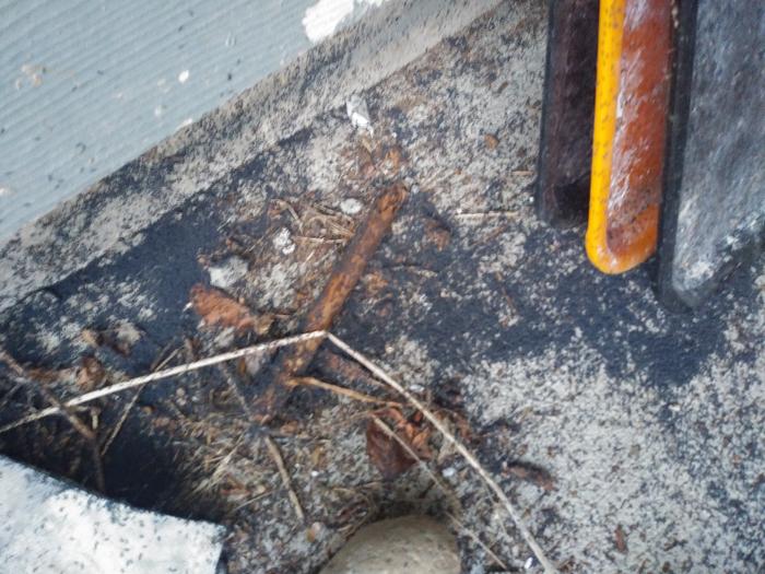 A swarm on the foundation of the house. 