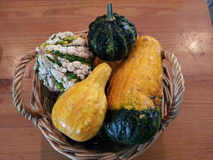 a gift of gourds