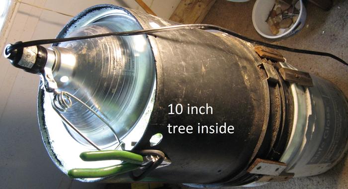 One type of bucket lights I use for outside in ground citrus trees.