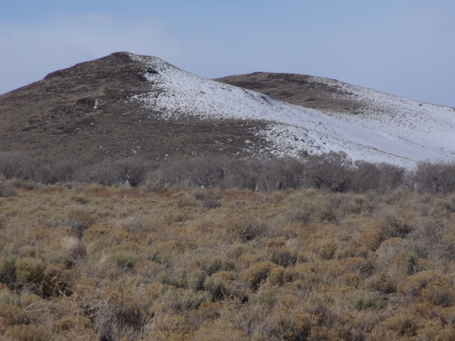 [Thumbnail for 40acres.mw1.jpg]