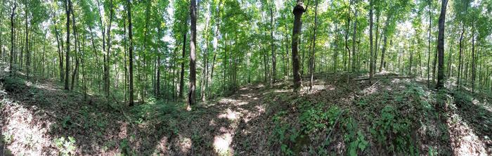 Panorama 2