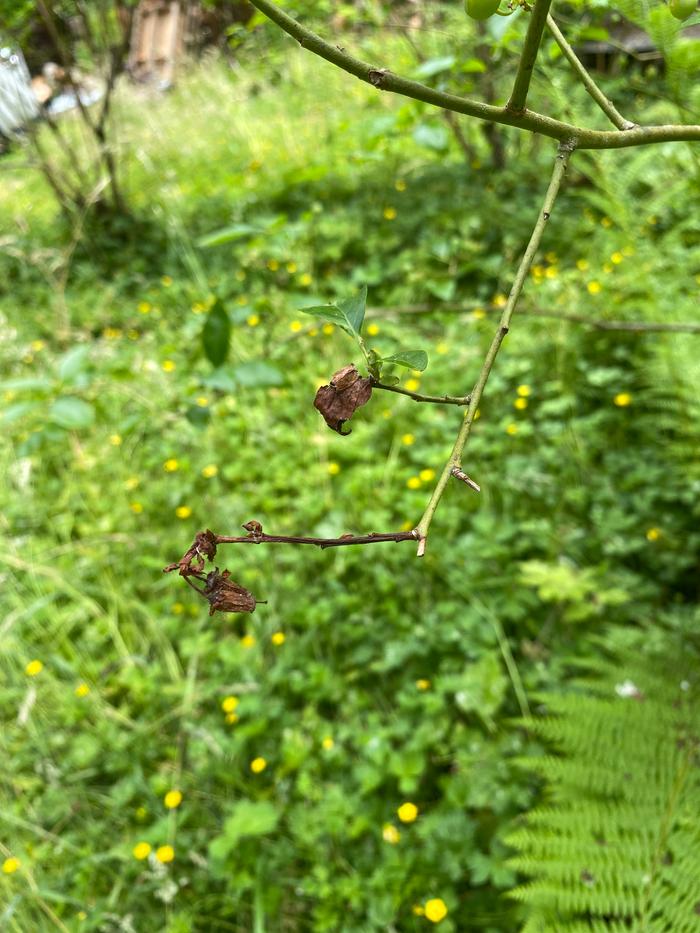 [Thumbnail for 5C8B7E8B-EEFE-4EA8-A8AD-134A33E4CC83.jpg]