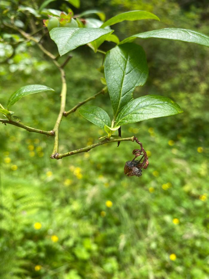 [Thumbnail for ABEF1C27-EC55-4D92-92F0-B65686DBA388.jpg]