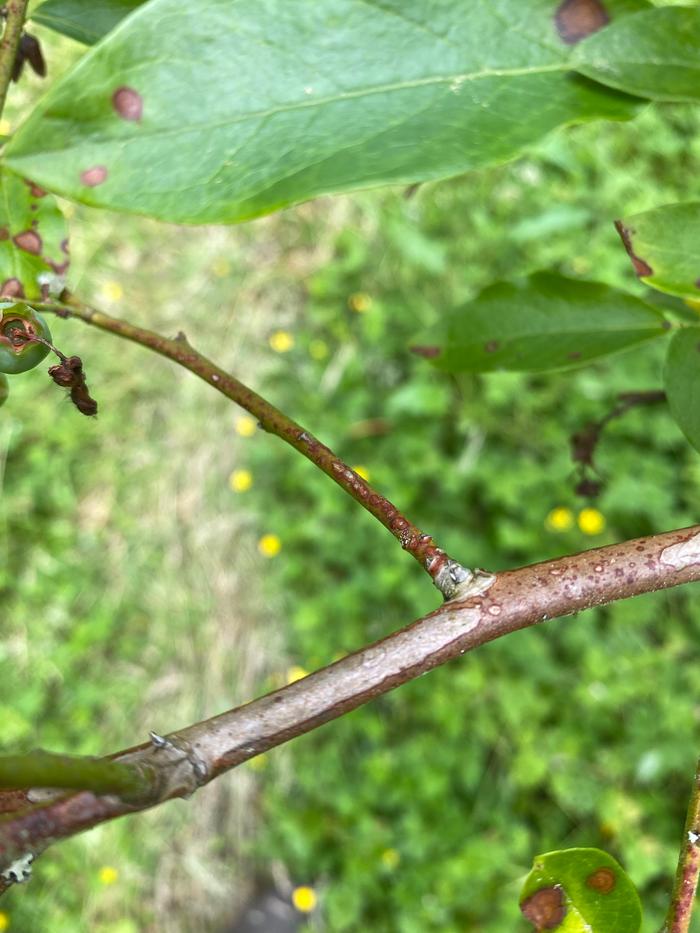 [Thumbnail for BA98F22F-32B7-4779-B075-CA0D2BF4CD58.jpg]