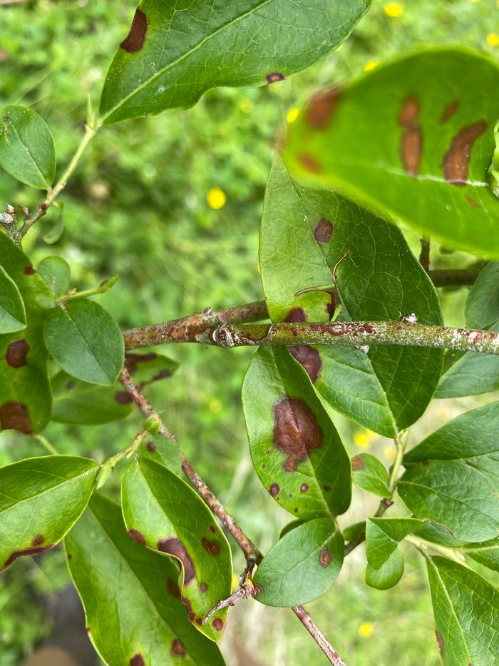 [Thumbnail for FB6E30A3-3CDE-4E81-9B07-EA090AB71BB1.jpg]