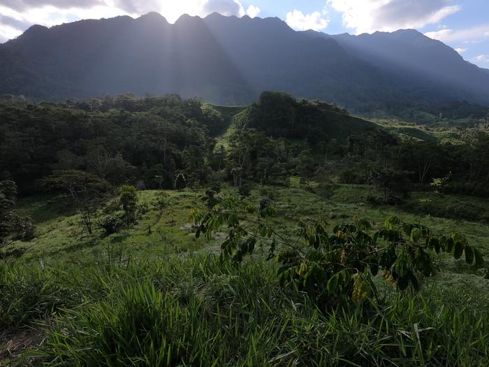 Our Property
