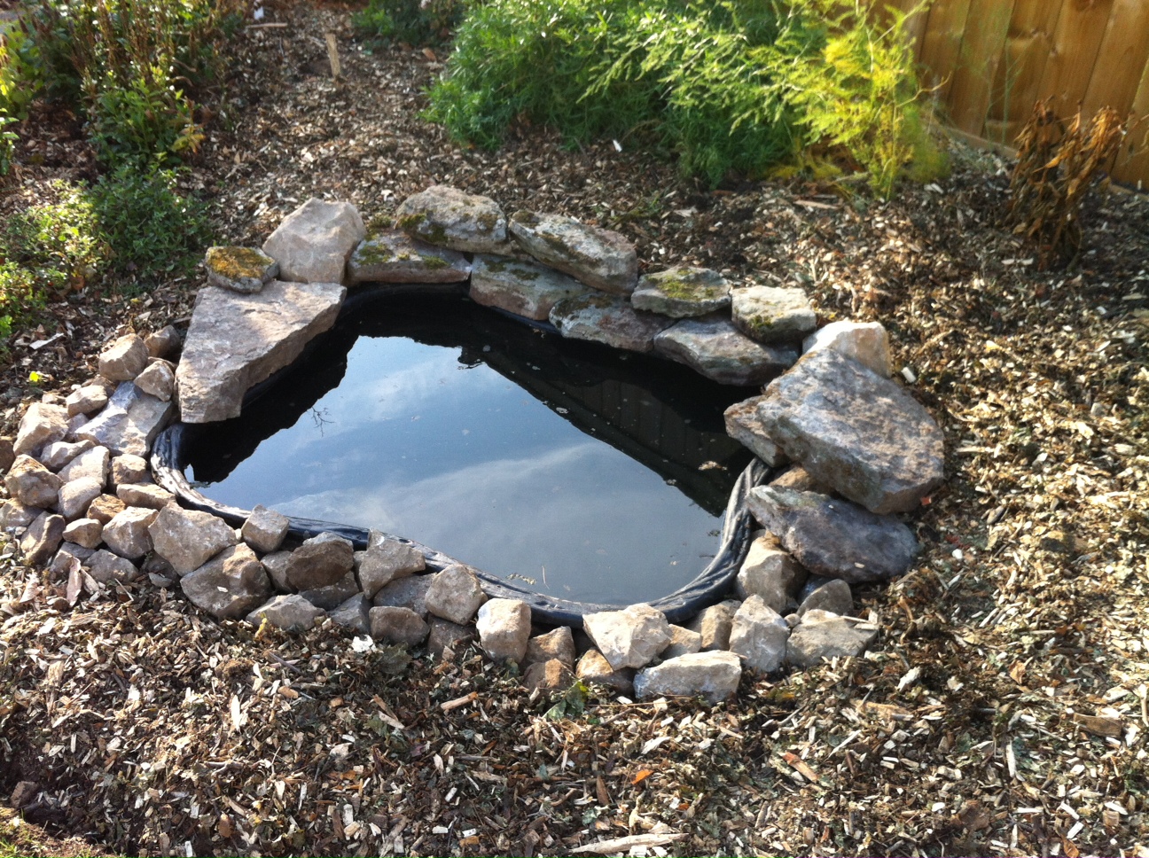 Winter Pond Cover, Garden Pond Forums