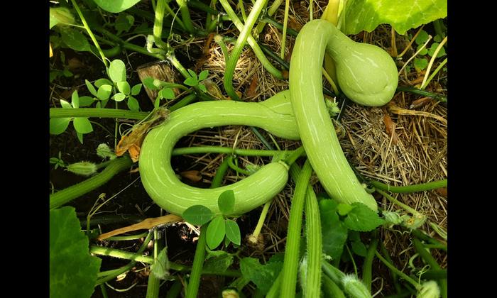 [Thumbnail for Screenshot_20251024_155236_Photos.jpg]