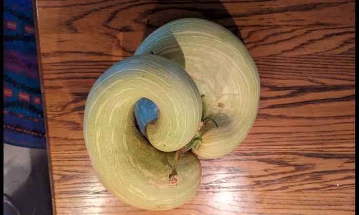 [Thumbnail for Screenshot_20251024_155203_Photos.jpg]