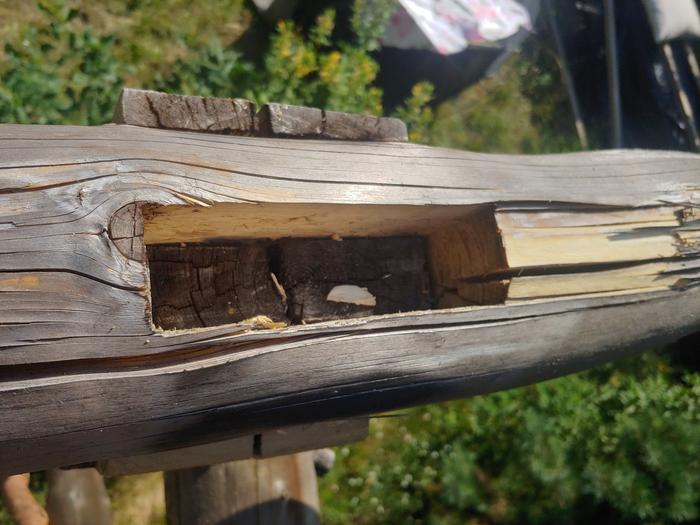 3.6cm (1.4in) mortise on a ~12cm (4.75in) beam