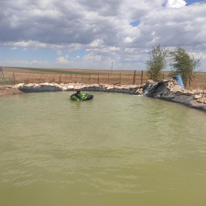 natural swimming pool