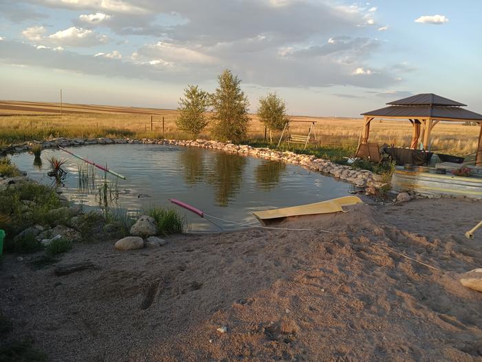 pond and gazebo