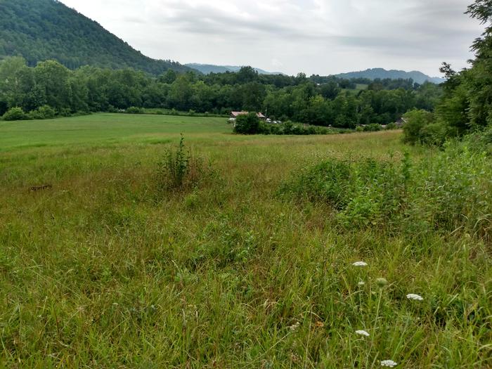 Rose Farm