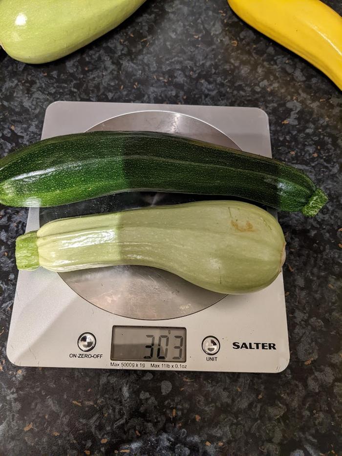 dark-light-green-courgettes