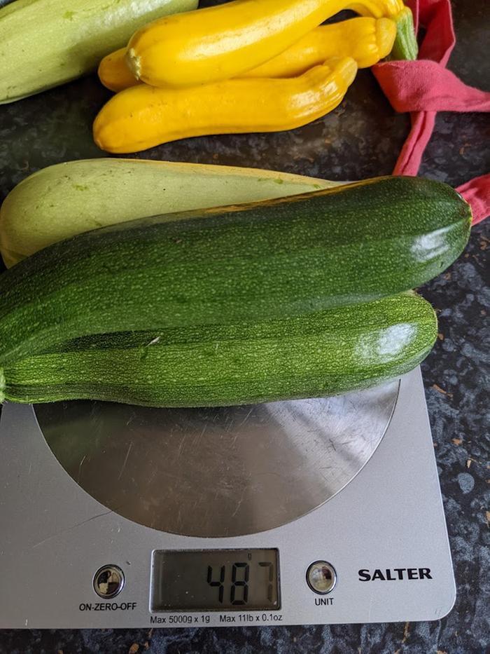 courgettes-13