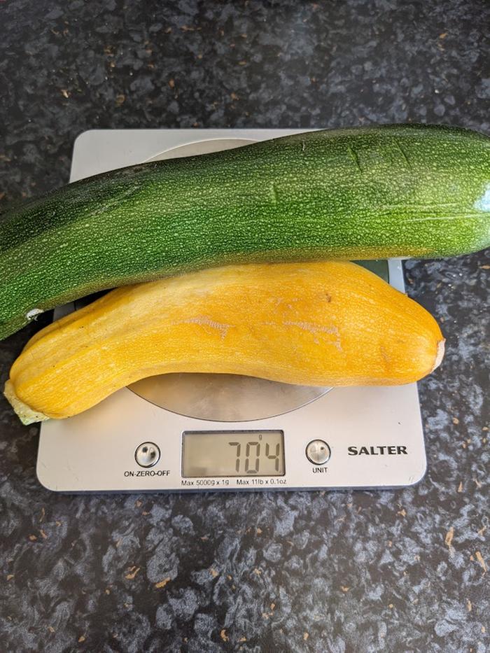 [Thumbnail for courgettes-20.jpg]