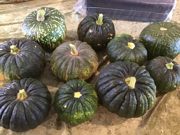 green winter squash