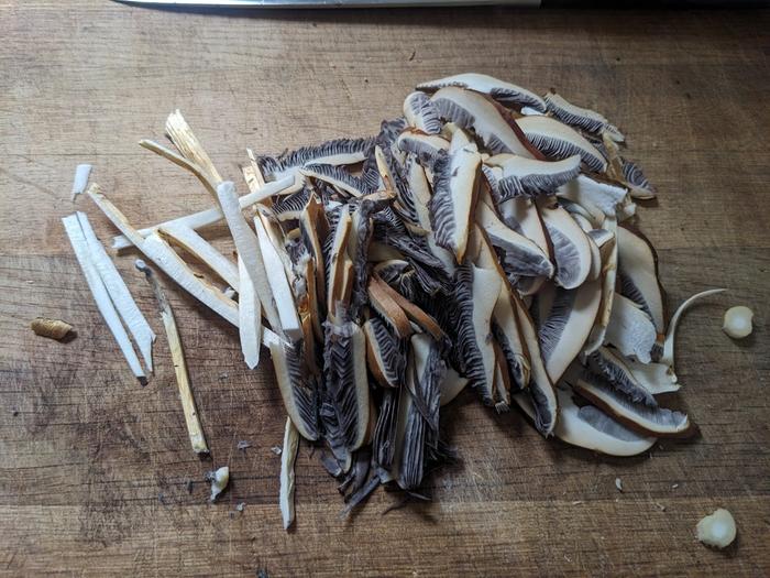 Sliced mushrooms for drying