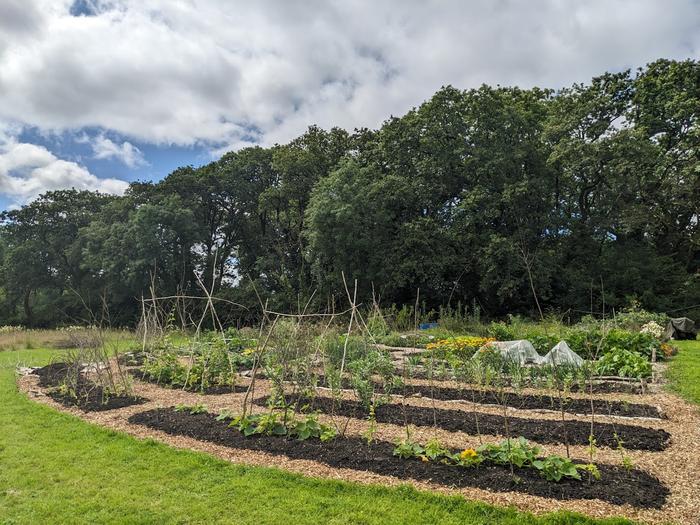 The vegetable garden in July, 2024