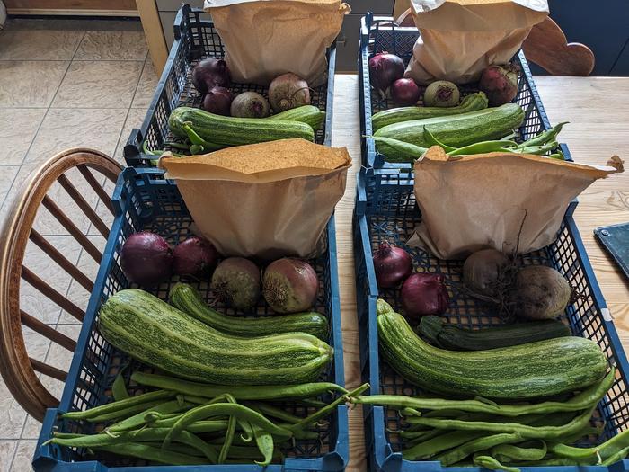 The more beautiful beets go into the veg boxes