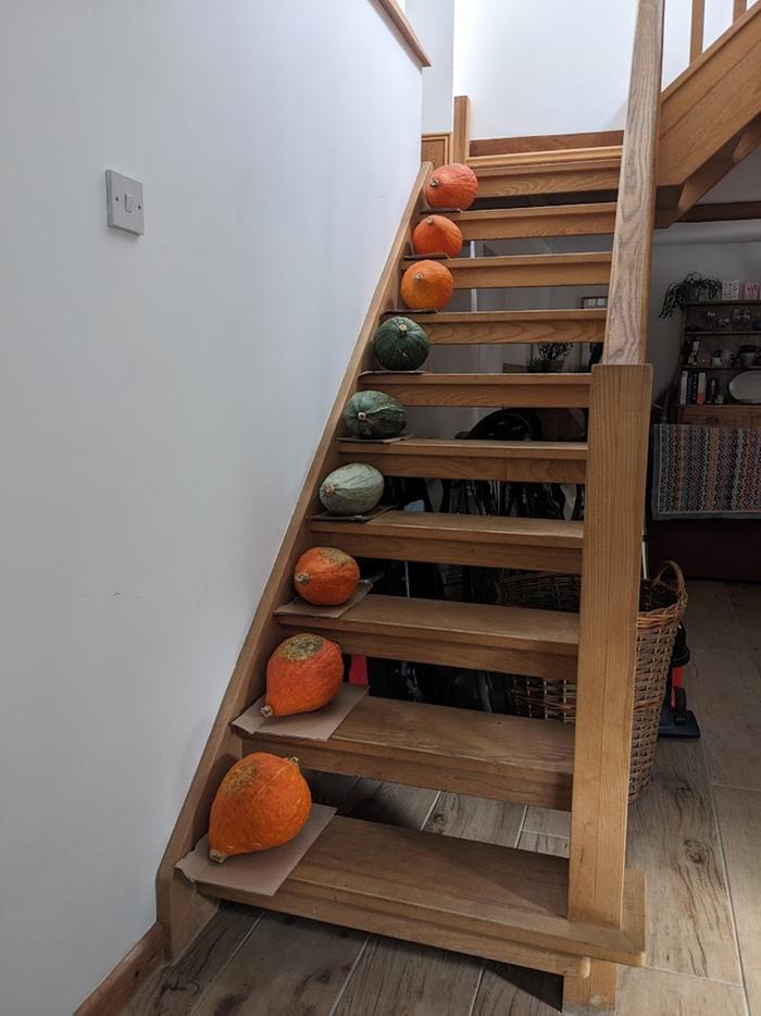 Squash on the stairs!