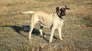 [Thumbnail for download-(5).jpg]