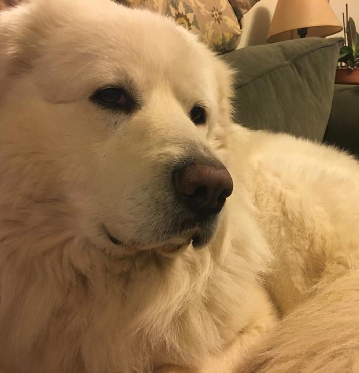 [Thumbnail for IMG_0050.jpg]