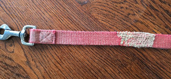 Reinforced dog lead