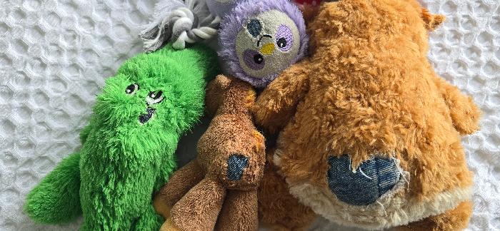 Repaired dog toys