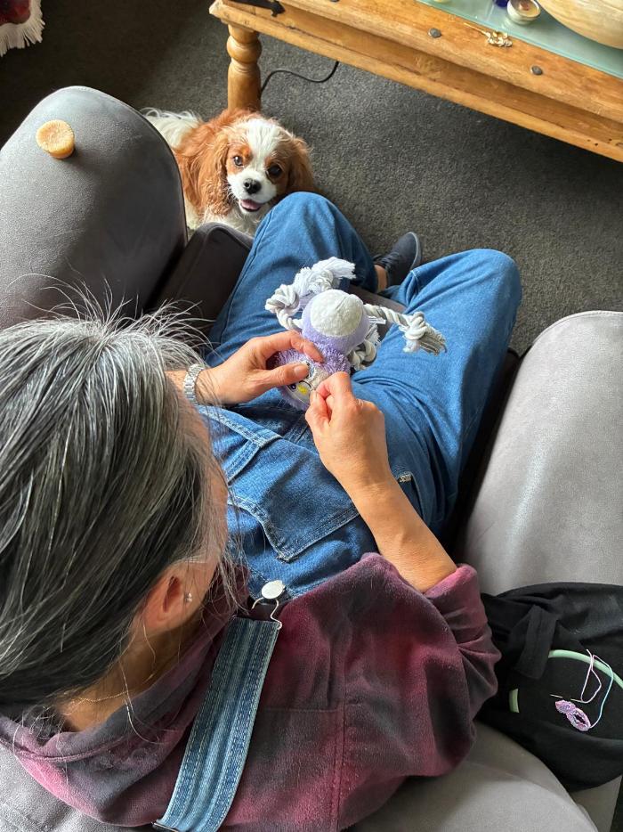 Supervising toy repairs