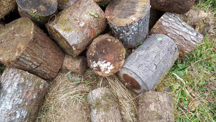 [Thumbnail for 20220809_191214.jpg]