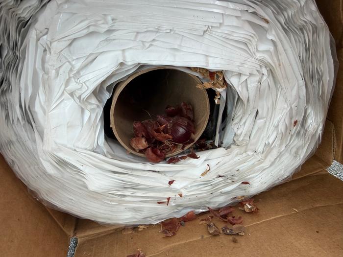 I bought all the materials six years ago before we moved into the house. A mouse or chipmunk took up residence in this roll at some point.