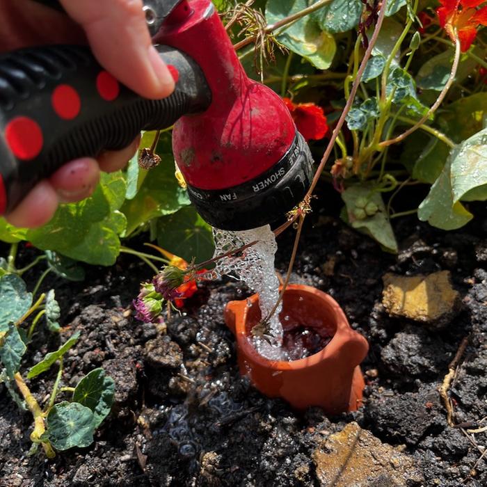 Filling the buried olla with water